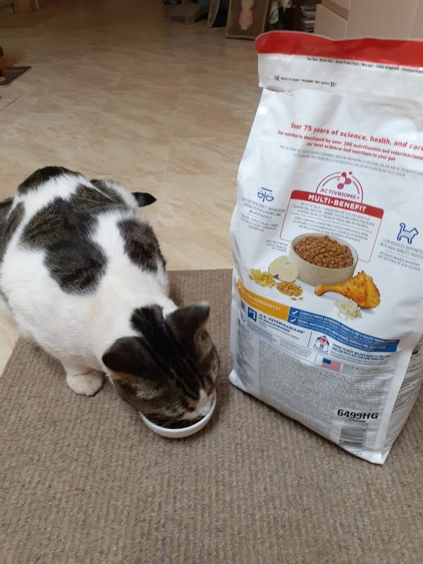 Coco loving her new dry food