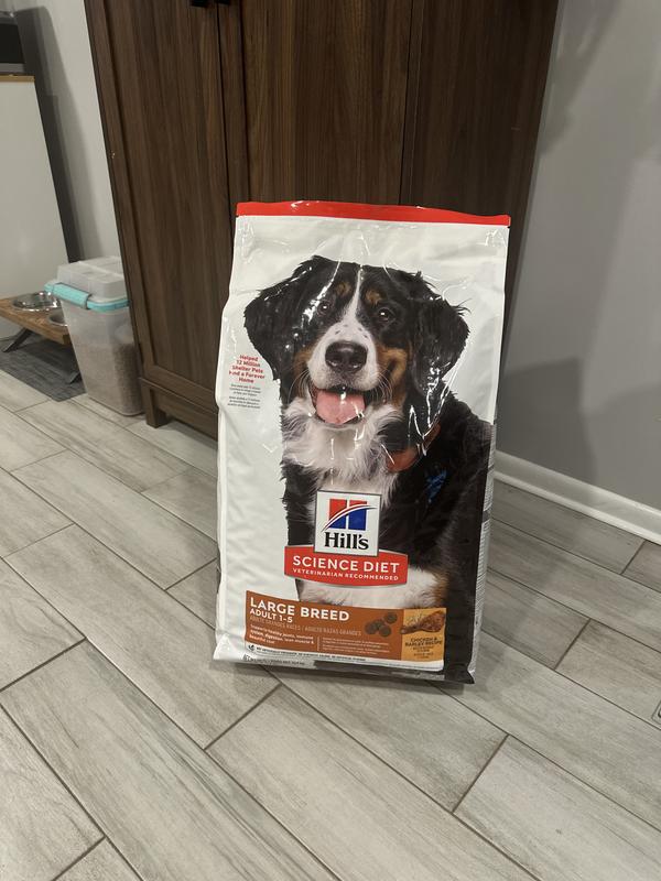 The best for my dog!