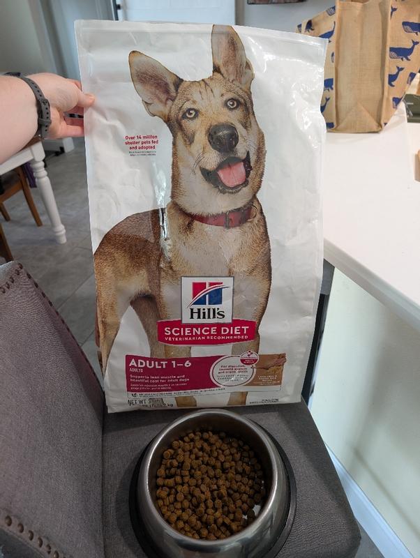 Dog food