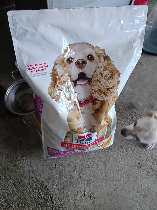 My dogs excited to rip into this bag.