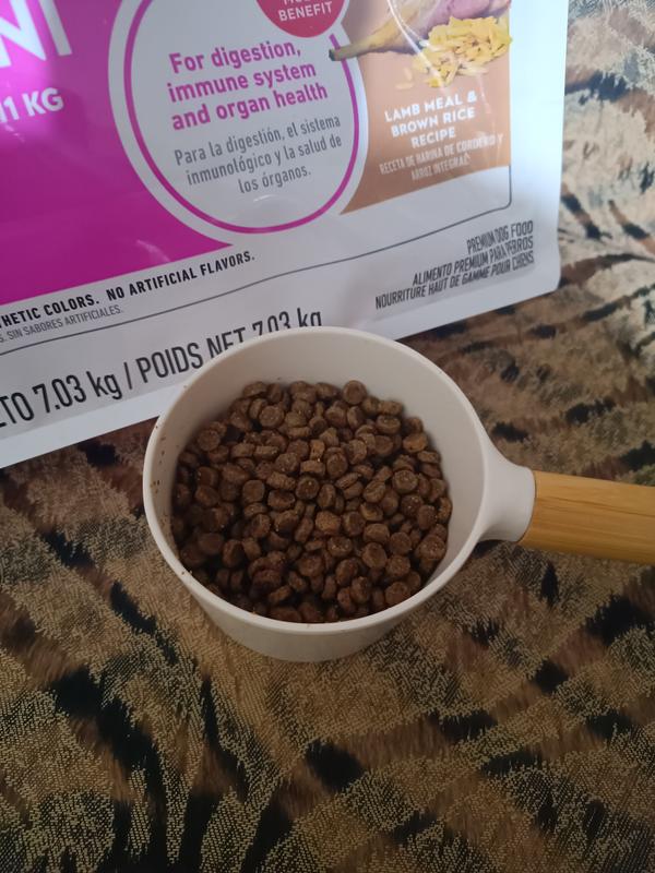 Small Kibble best for Small Dogs