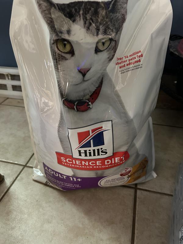 Bag of food