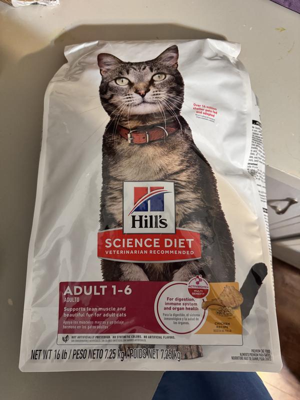 Cat food