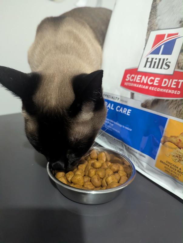 Oral care cat food