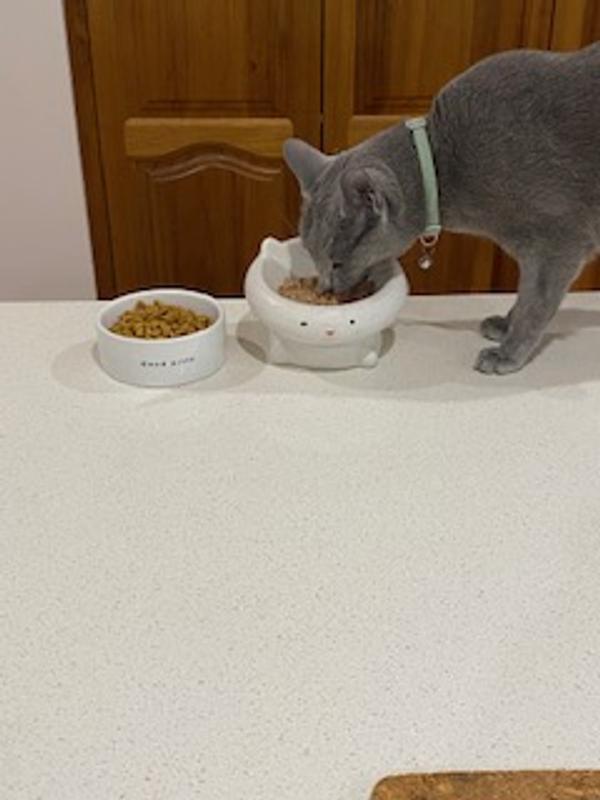 Enjoying her new dinner!