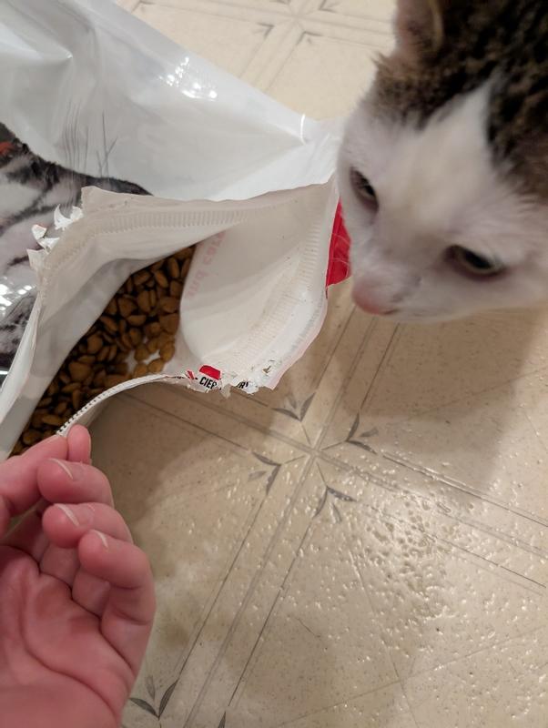 She chewed through the bag!