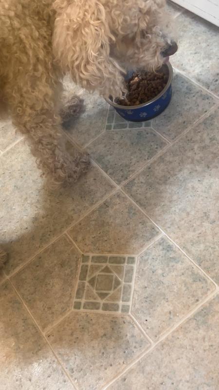 No crumbs on the floor