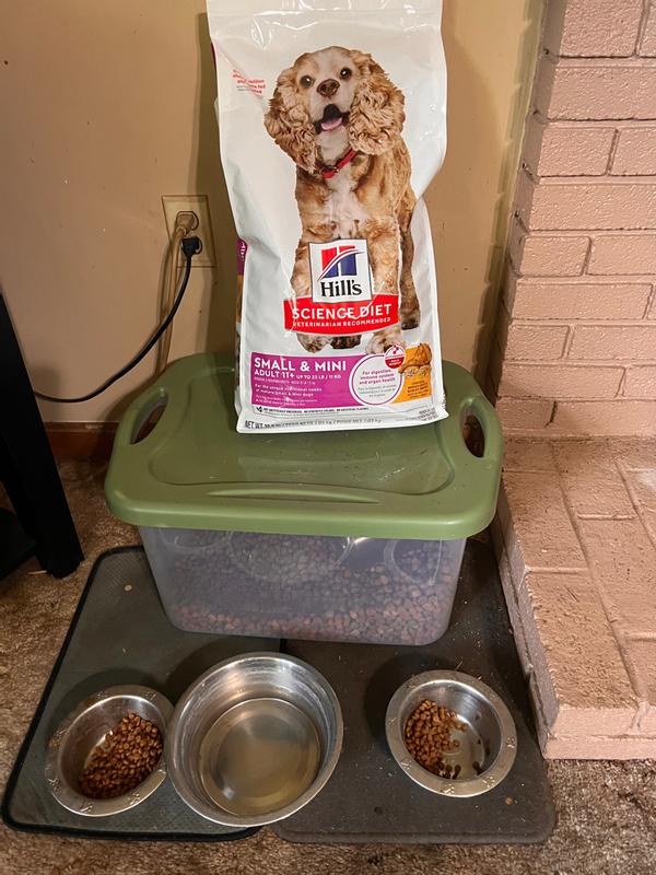 Maggie and Libby’s feeding station