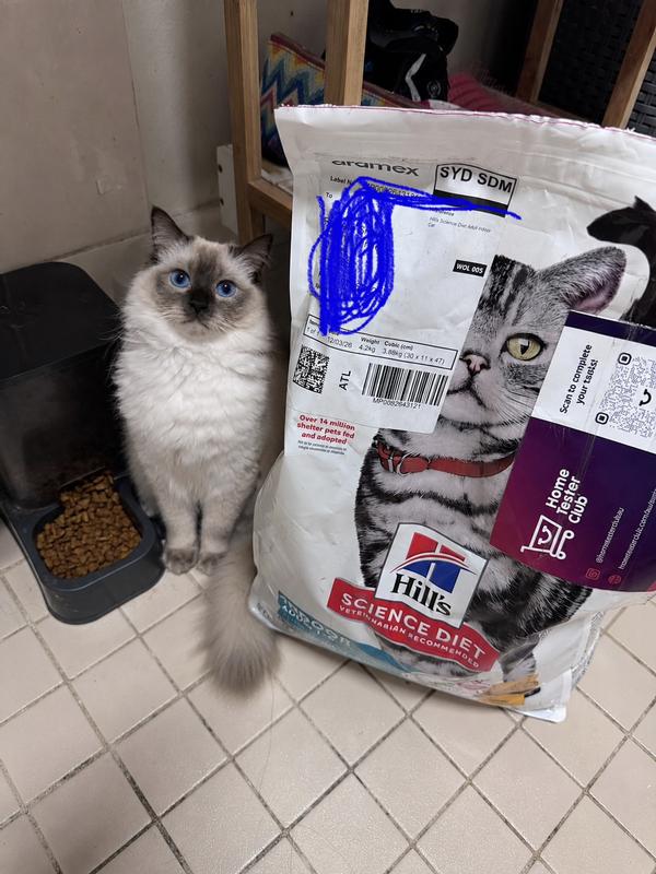 One very happy cat