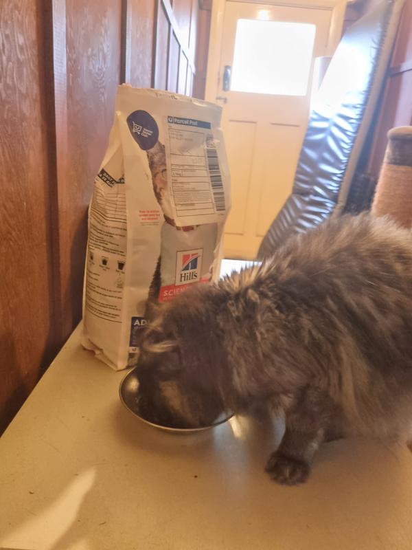Loving the food