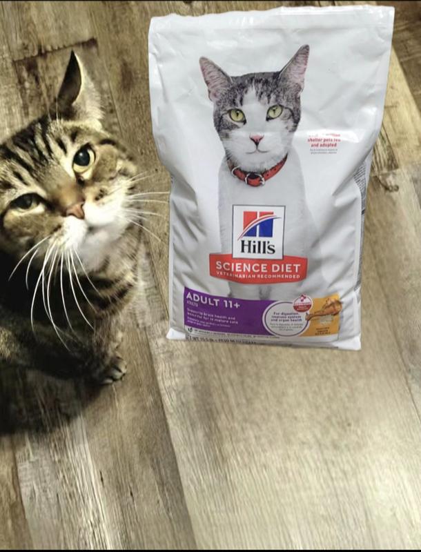 Purr-fect Pose With Hills Science Diet
