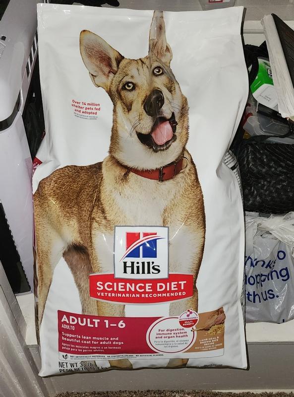 When I first got the bag