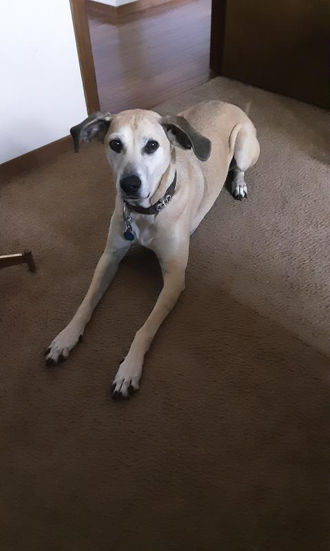 Molly at 9 years