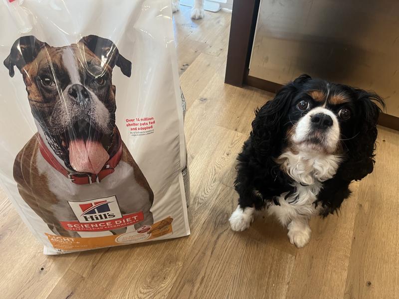 Louie approves