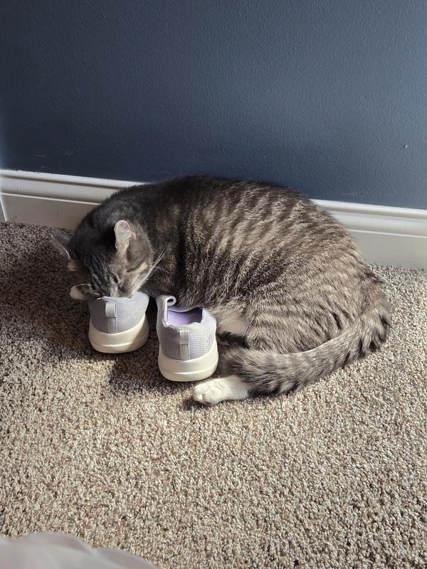 Fritz loves my shoes.