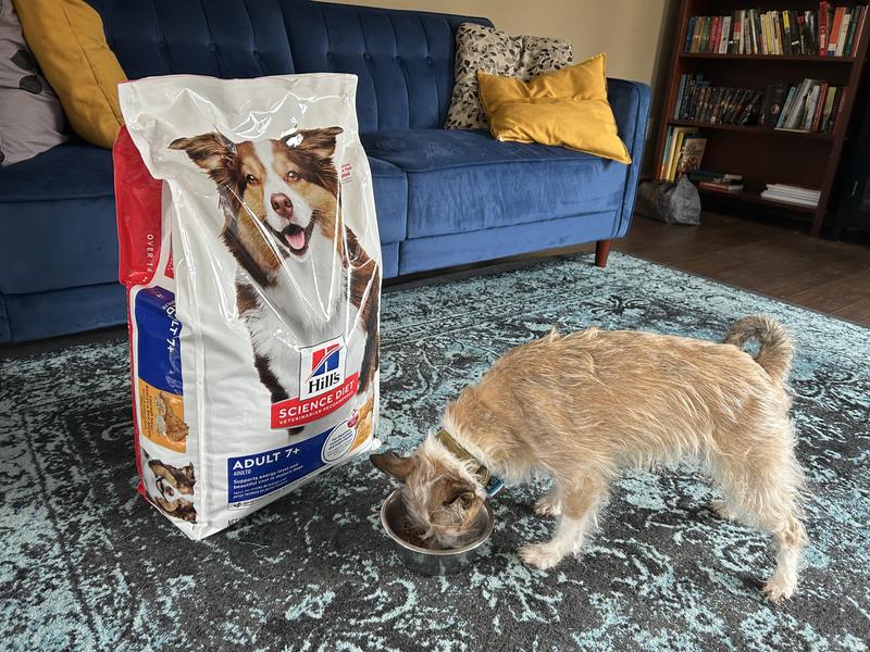 Dez enjoying breakfast!