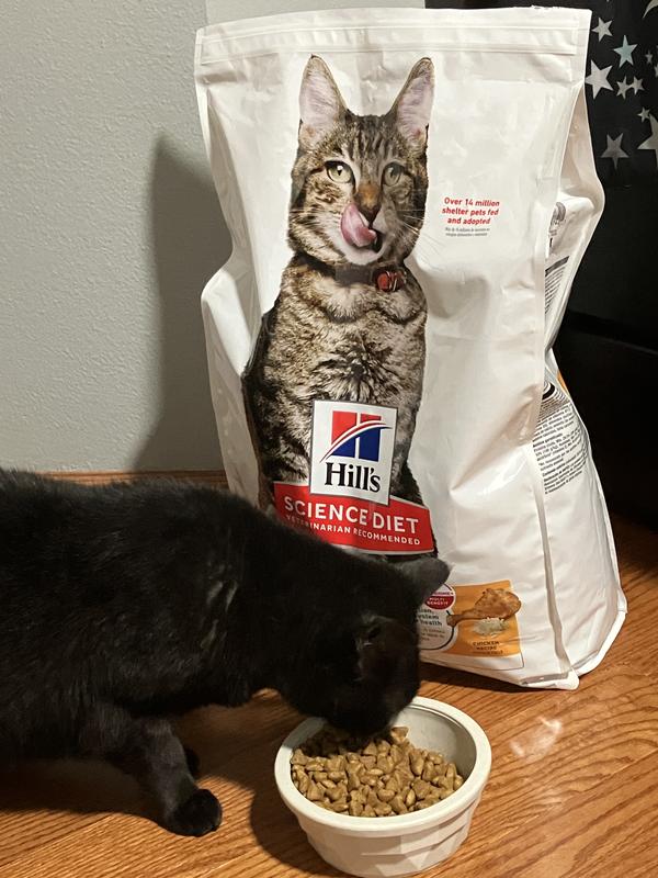 Hills Science Cat Food