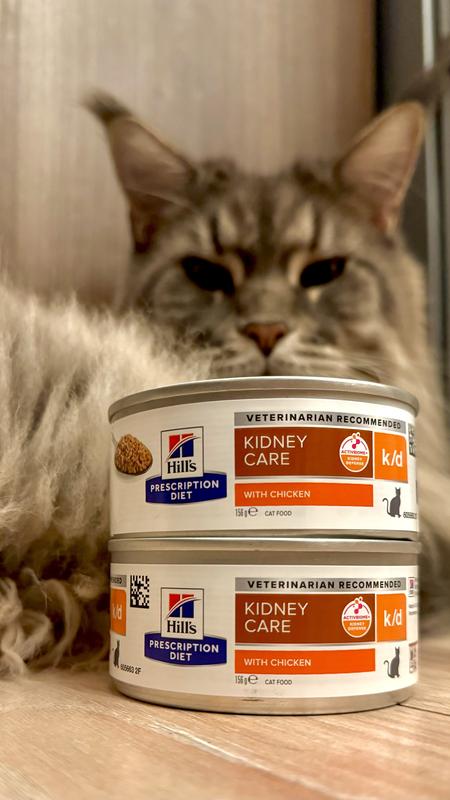 k/d Pâté with Chicken Cat Food | Hill's Prescription Diet