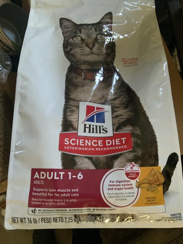 Science Diet Cat