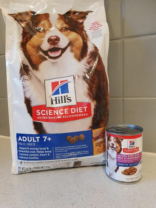 Hill s Science Diet Adult 7 Active Longevity Dog Food Pet