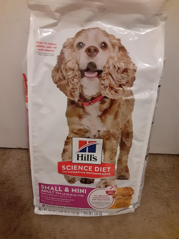 Canine Adult 11  Small