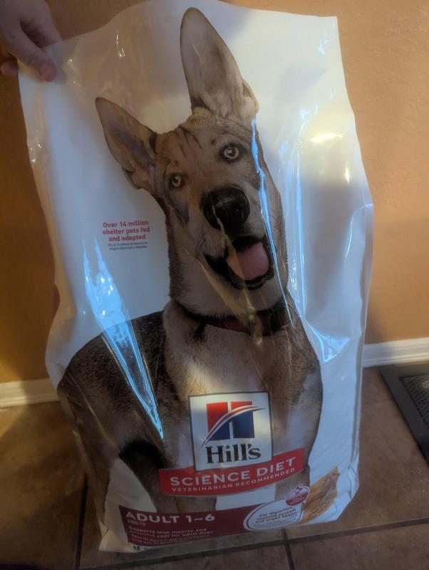 How To Open Dog Food Bag: Easy Tips for Mess-Free Feeding