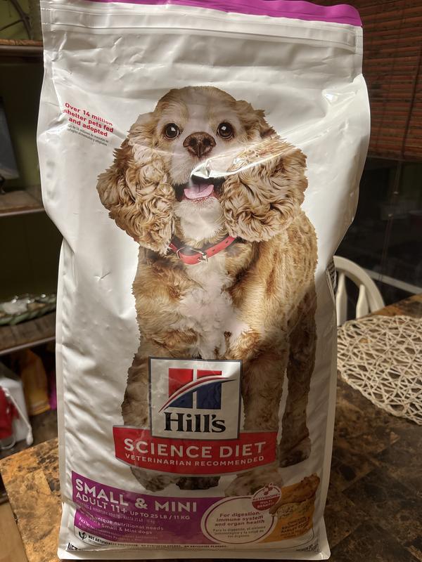 SD 11  small and mini chicken