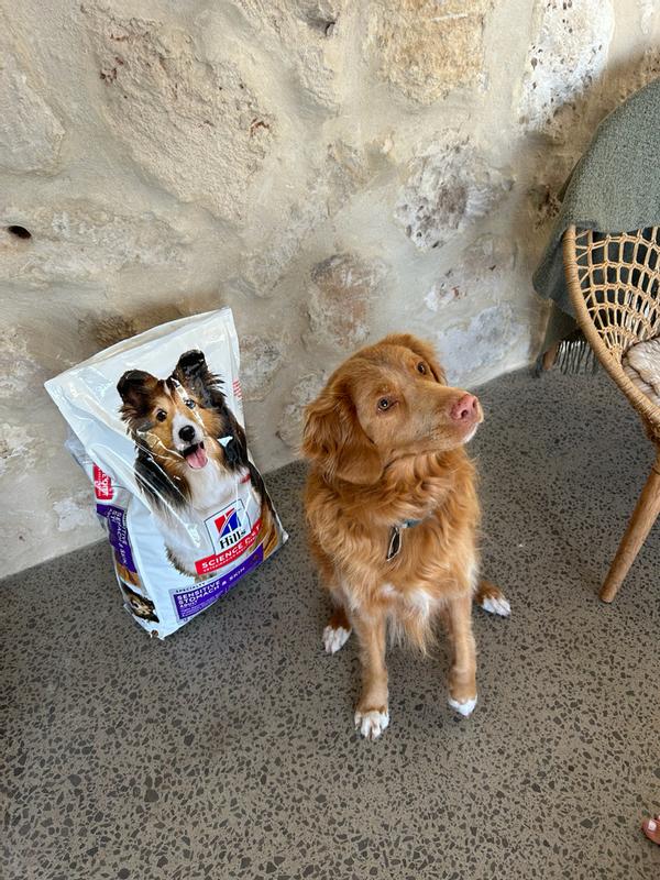 Very happy with his new bickies