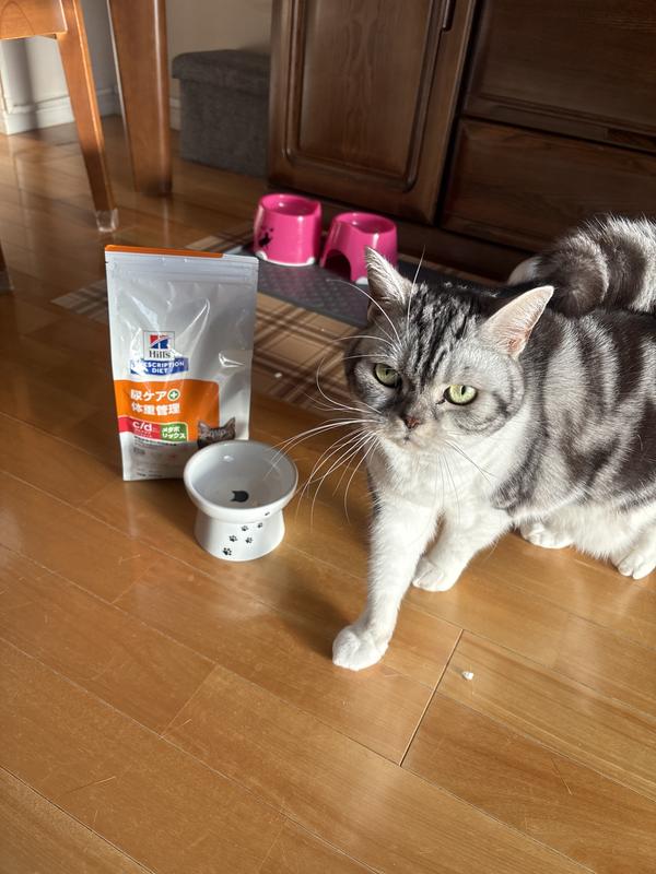 猫用〉c/dマルチケア コンフォート+メタボリックス ドライ | ヒルズ