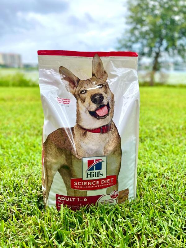 Hill's Science Diet Adult Dog Food Lamb