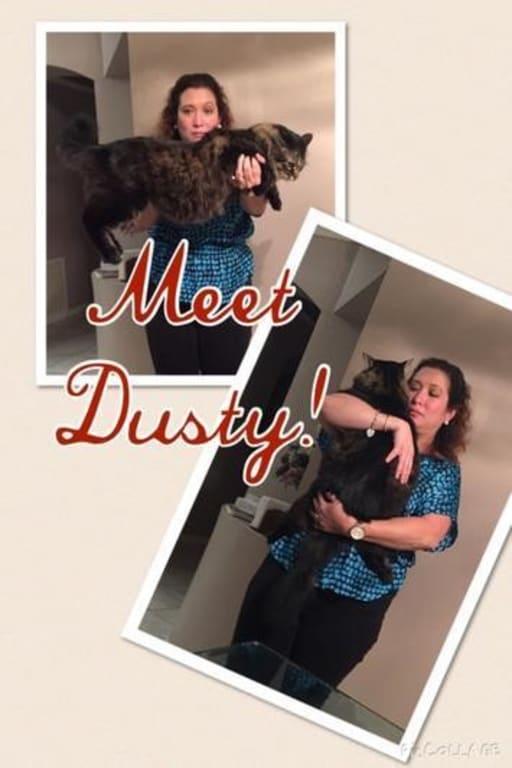 Meet Dusty