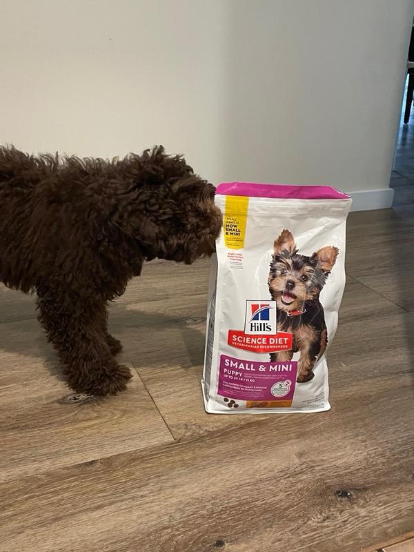 Hill's science diet small & toy breed puppy food best sale