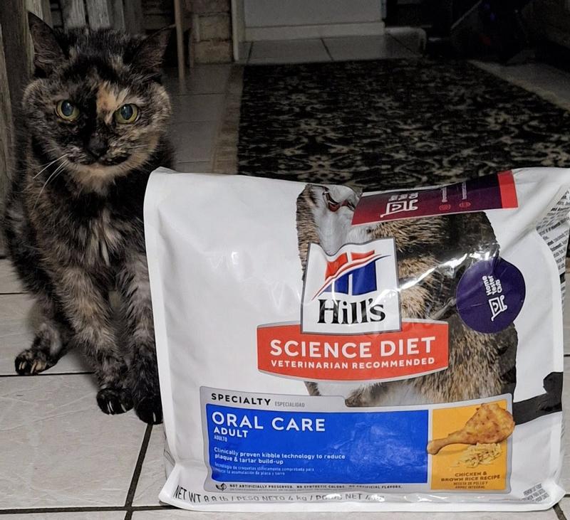 My Petit Senior Tortie wasn't a fan