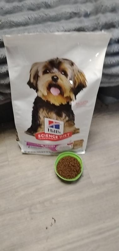 Feeding time!