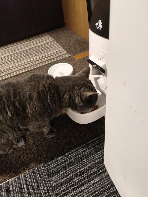 猫用 マルチケア＋シニア健康サポート 高齢猫 7歳以上 チキン | ヒルズ
