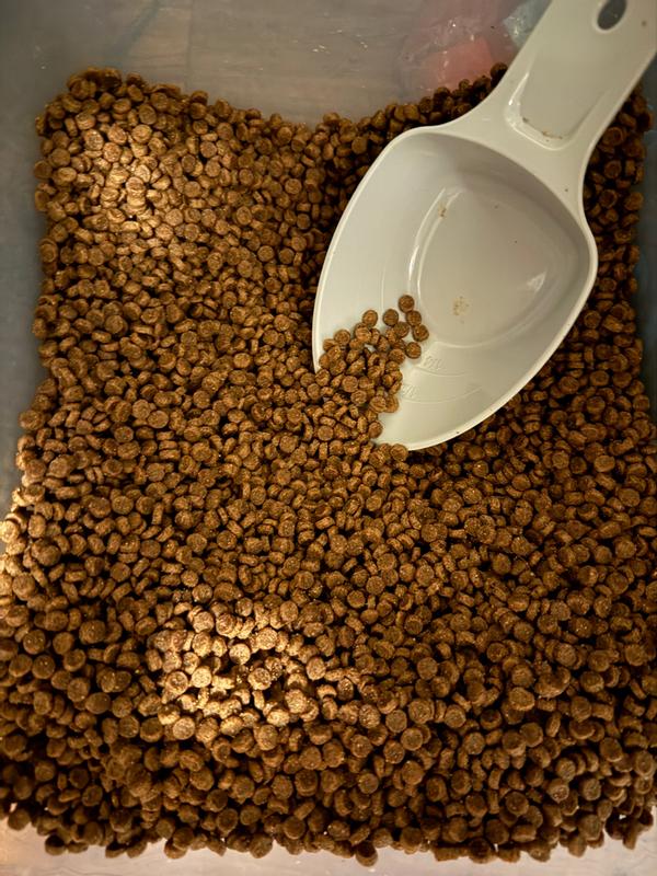 Dog food