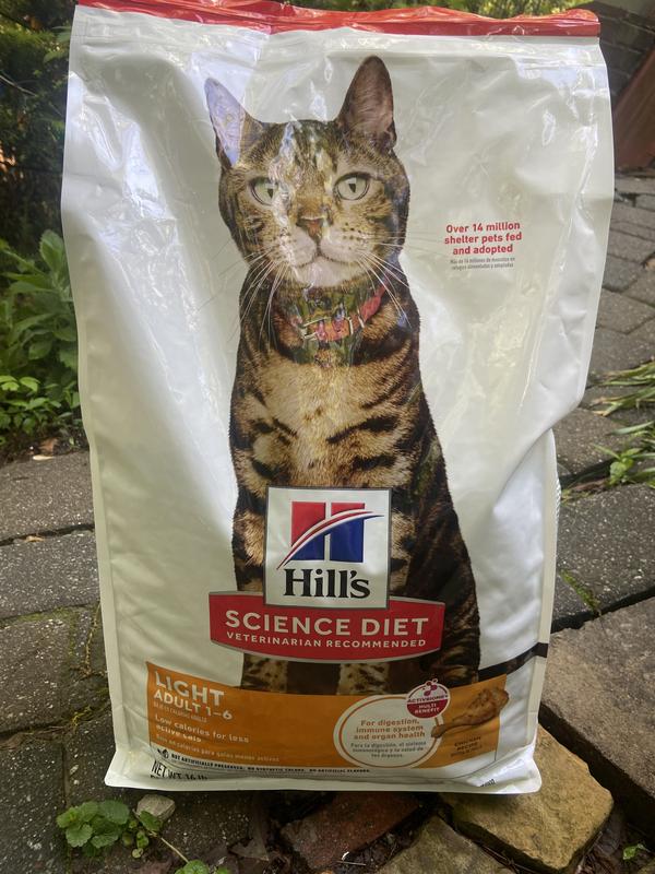 Great cat food
