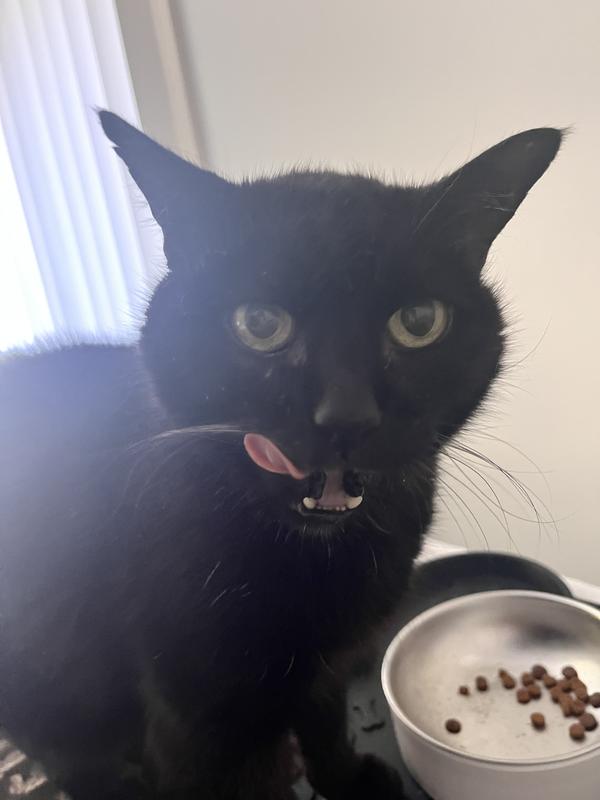 Stormy thinks it’s delicious
