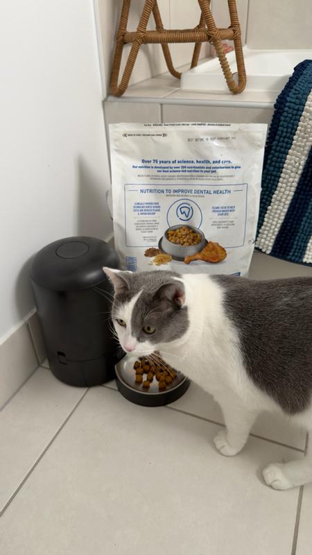 Arthur eating his food