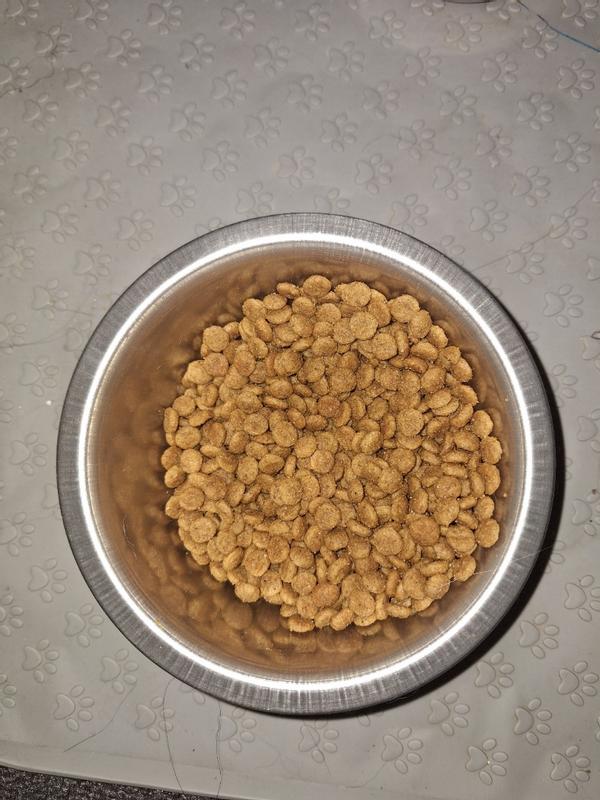 Tiny kibble, great tiny dogs or older dogs