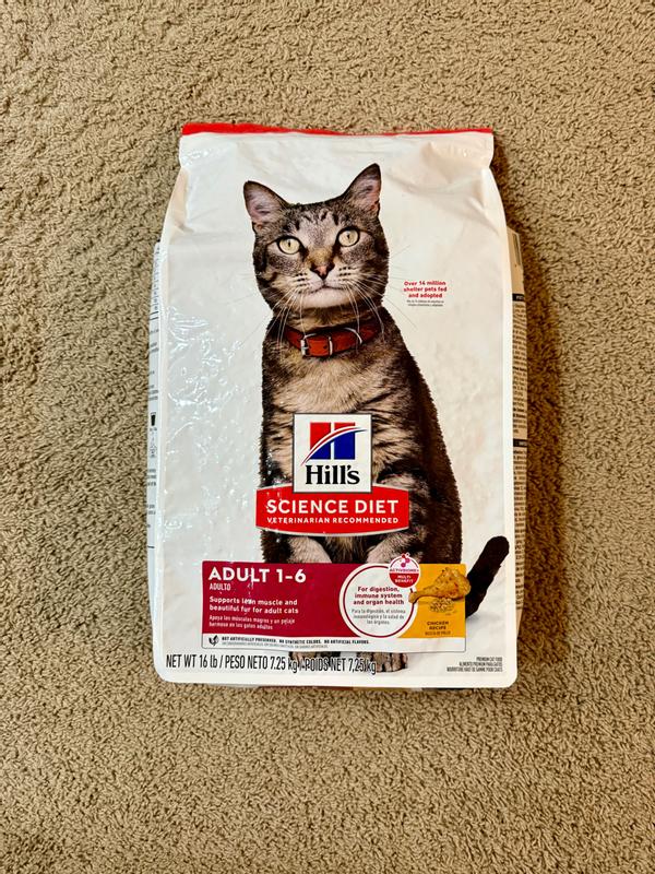 Cat Food