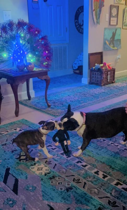 Buffett and LuLu