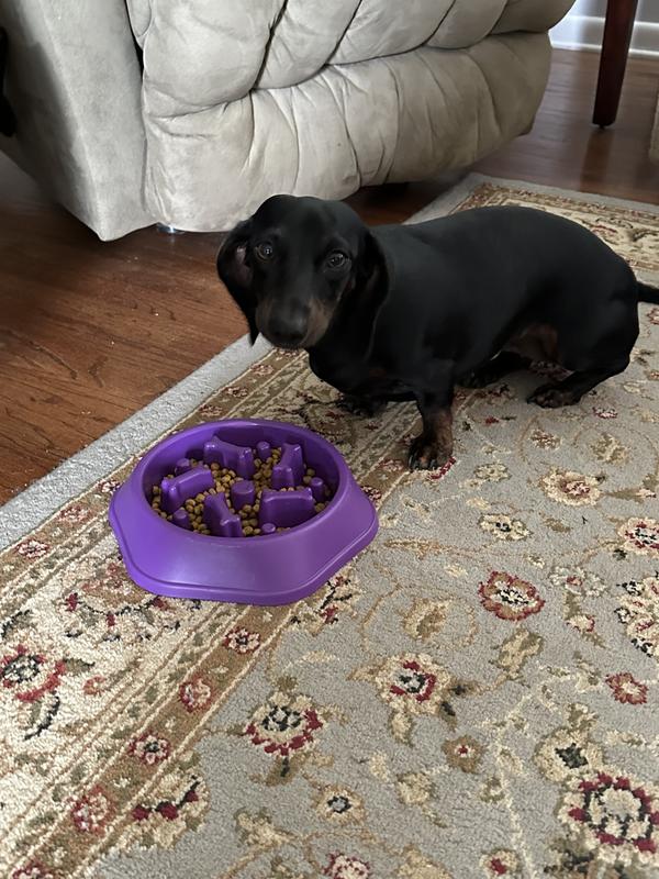 Dinner time!