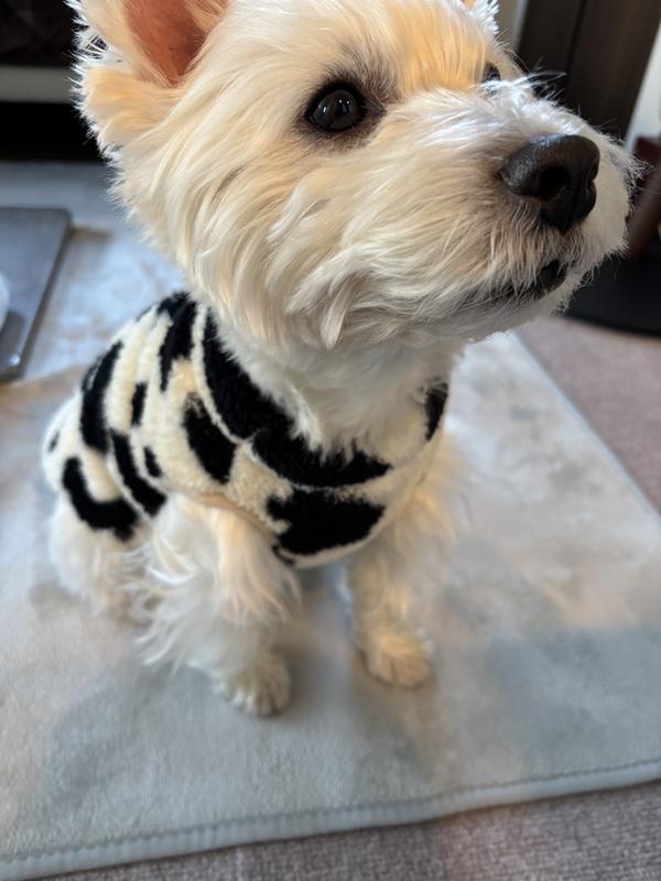 犬用〉オールスキンバリア 小粒 ドライ | ヒルズ プリスクリプション