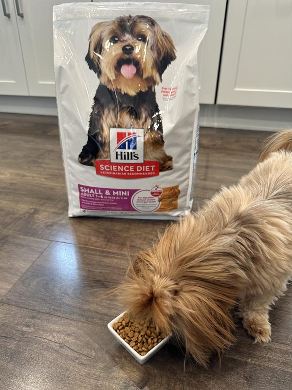 My dog loves this food!