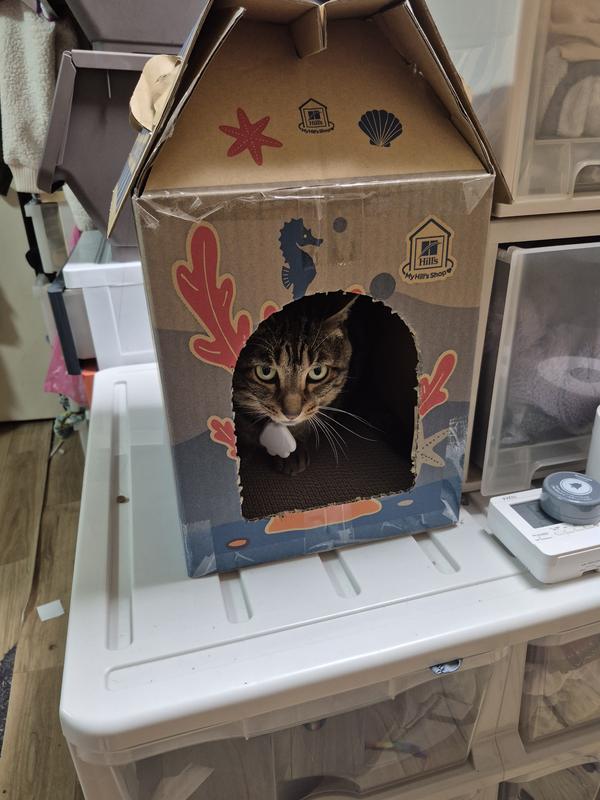 猫用〉c/d シーディー マルチケア コンフォート フィッシュ入り ドライ