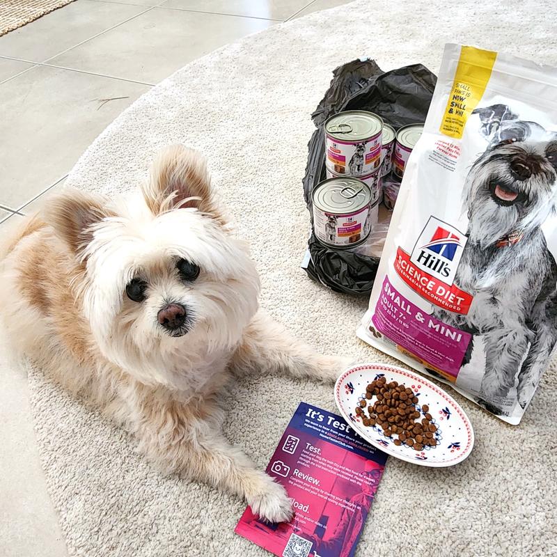 Adult 7+ Small Mini Chicken Brown Rice Recipe Dog Food