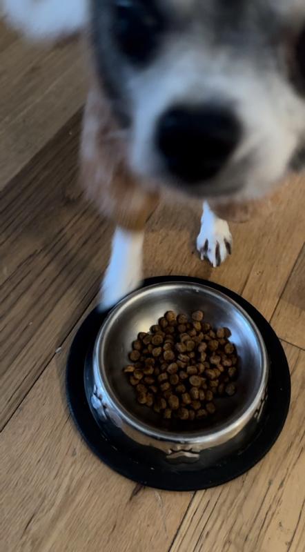 He Can’t Wait for His Food