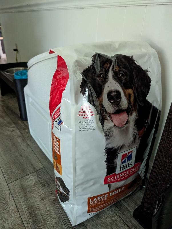Science Diet Large Breed Food