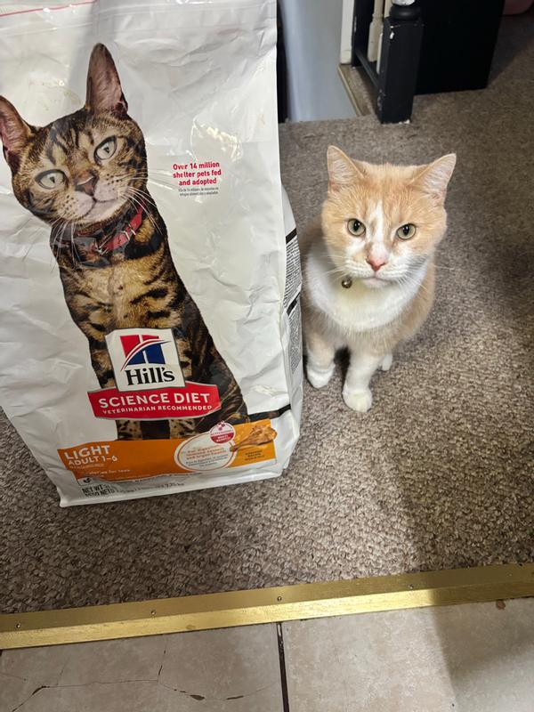 Odin and his food